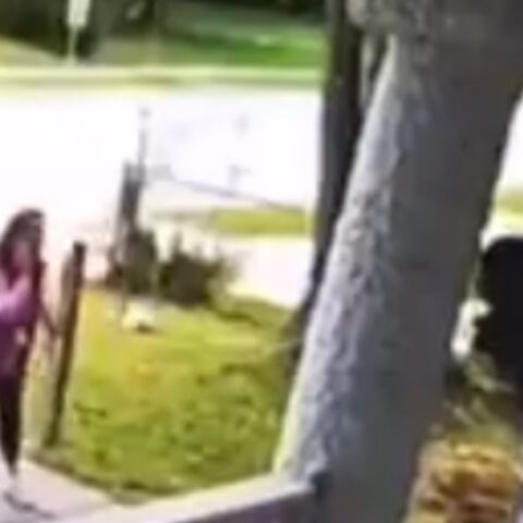 "you're not the right color, honey", woman says before losing her job at food bank - photo licensed by shore news network.