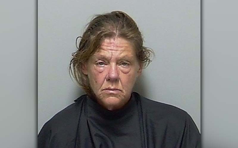 Woman broke into family's home to make eggs and coffee while children slept