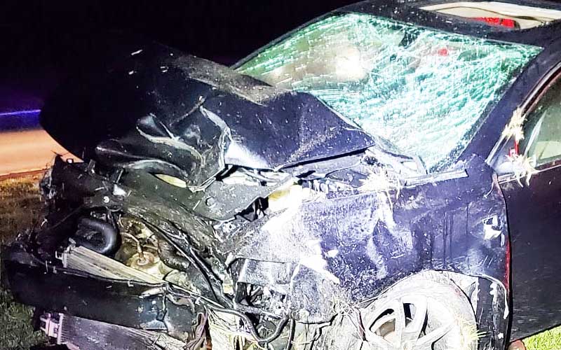 Drug dealer ejected after crashing into palm tree fleeing police