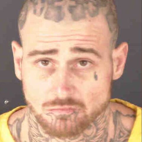 Woman found beaten, dead in hotel room, suspect in custody - photo licensed by shore news network.