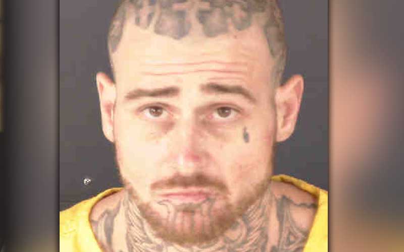 Woman found beaten, dead in hotel room, suspect in custody