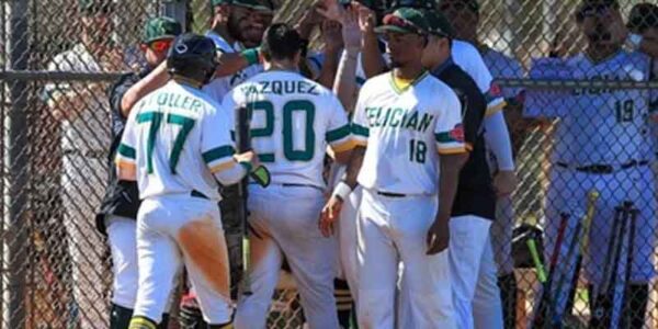 Jackson Township's Torres goes 3 for 4 in first start at Felician