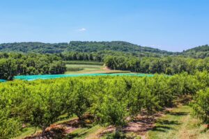 Hunterdon county’s ‘579 trail’ in rural n. J. – a ‘must-visit’ for garden state travelers – opens for 2021 season