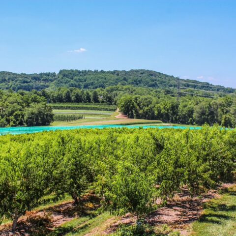 Hunterdon county’s ‘579 trail’ in rural n. J. – a ‘must-visit’ for garden state travelers – opens for 2021 season - photo licensed by shore news network.