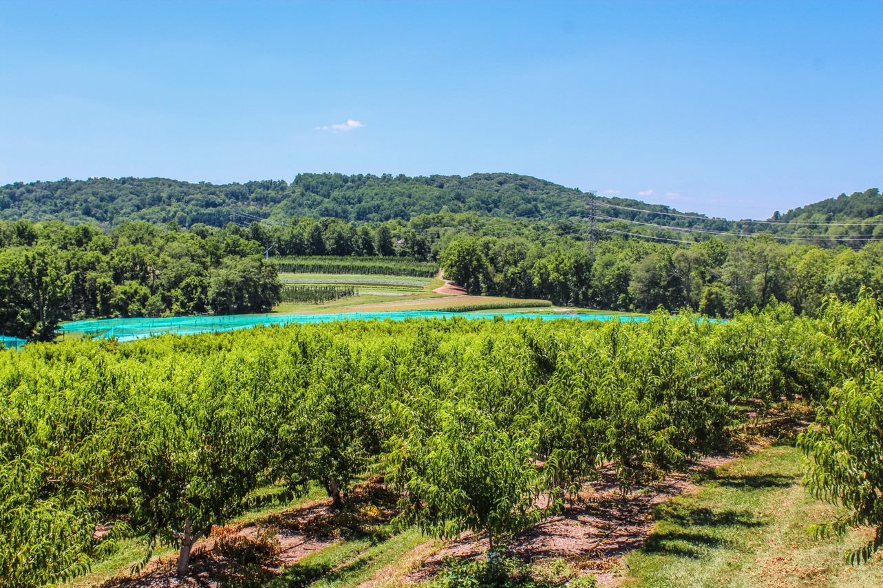 Hunterdon County’s ‘579 Trail’ in Rural N.J. – A ‘Must-Visit’ for Garden State Travelers – Opens for 2021 Season