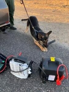 Border patrol agents discover meth during vehicle stop