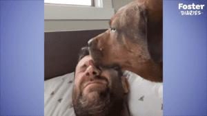 Foster fail adopts a dog left at the shelter with a terrible letter