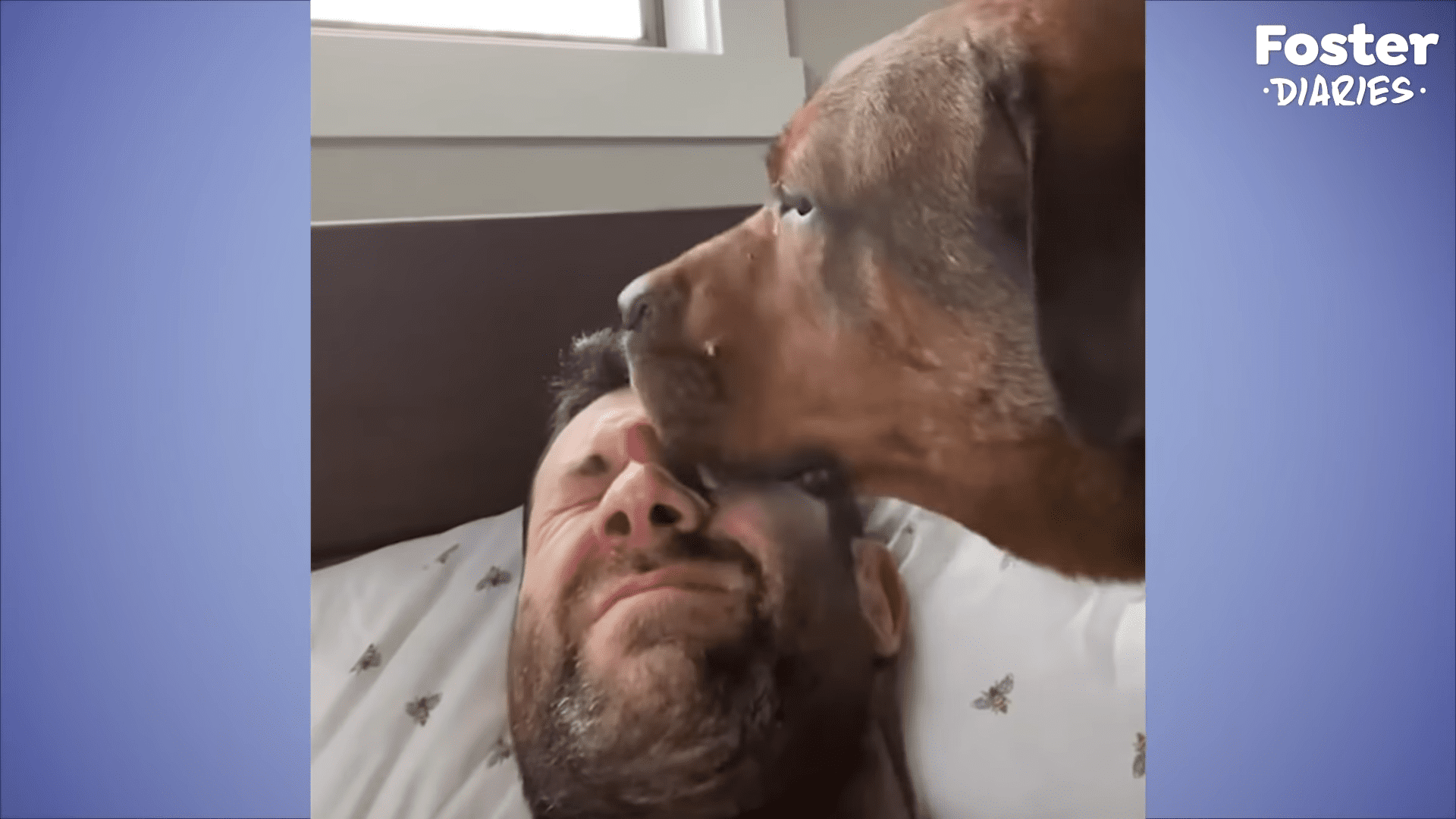 Foster fail adopts a dog left at the shelter with a terrible letter