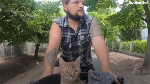 Cyclist bikes around the world with baby kitten he rescued - photo licensed by shore news network.