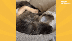 Woman convinces man to surrender his chained up dog and her puppies