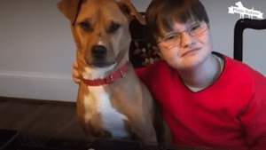 Autistic boy falls in love with his new rescue dog