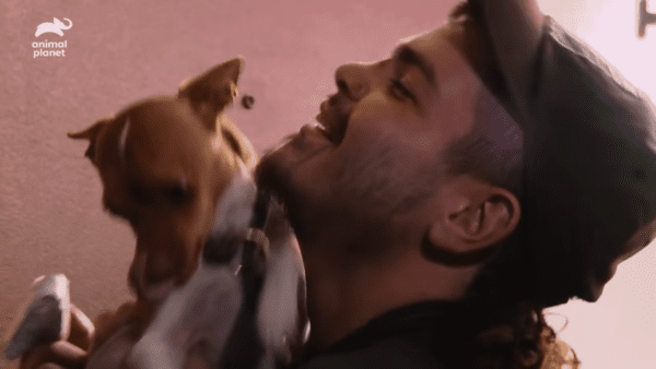 Man mugged in new orleans reunites with his chihuahua | photo licensed by shore news network. Man mugged in new orleans reunites with his chihuahua - photo licensed by shore news network.