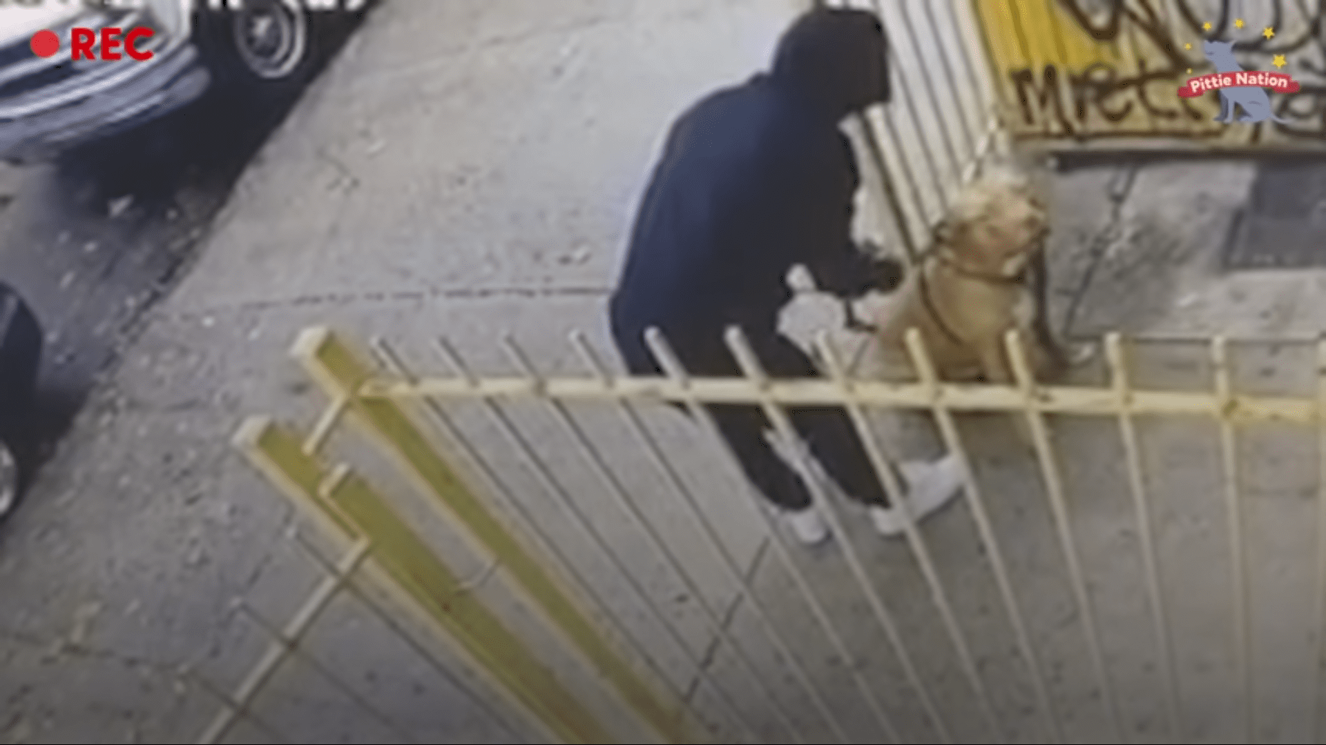 Abandoned dog left and tied up to a fence gets new home