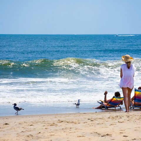 Leaving new jersey? Here are 5 things you're going to miss most - photo licensed by shore news network.