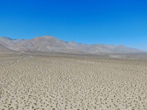 Border patrol rescues guatemalan caravan lost in california desert