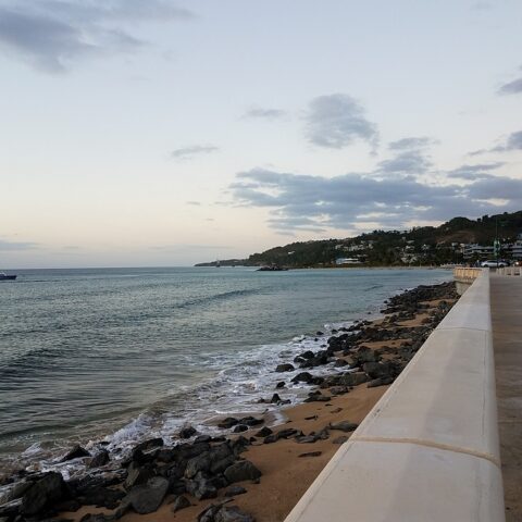 Four non-citizens from the dominican republic face charges for smuggling 43 haitians into mona island, puerto rico - photo licensed by shore news network.