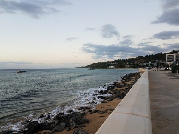 Four Non-Citizens from the Dominican Republic Face Charges for Smuggling 43 Haitians into Mona Island, Puerto Rico