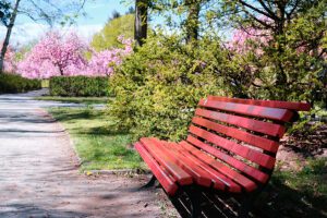 Man accidentally shot himself with gun sitting on public bench, charged