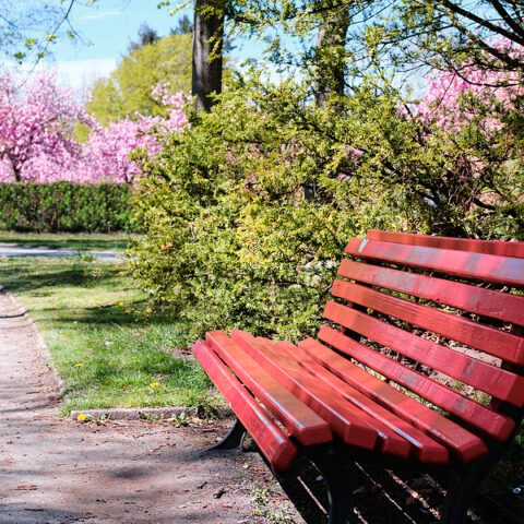 Man accidentally shot himself with gun sitting on public bench, charged - photo licensed by shore news network.