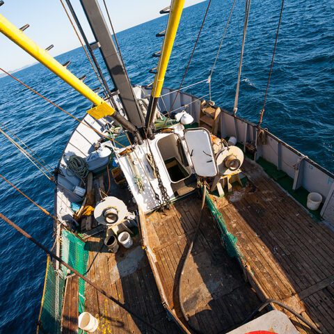 Man gets probation for illegal fishing of finfish in cay sal bank - photo licensed by shore news network.