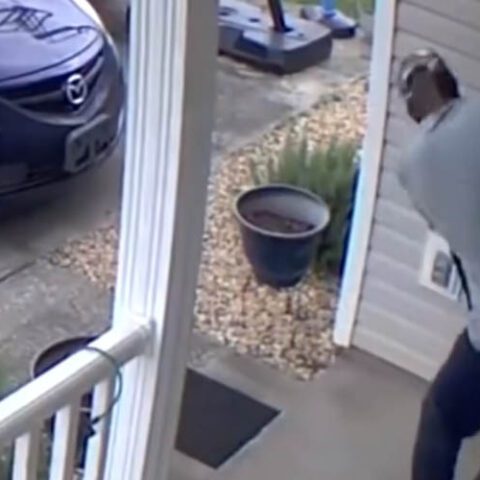 Woman shoots and kills man trying to kick in her front door, screaming at her - photo licensed by shore news network.