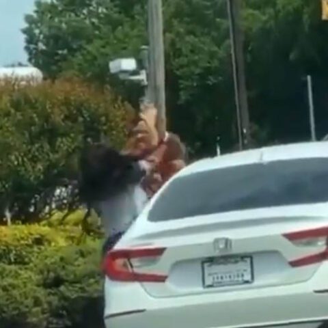 Gas station fight erupts as tempers flare over gasoline shortage - photo licensed by shore news network.