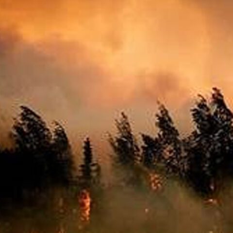 Unattended campfire sparked 1,600-acre wildfire in martin county - photo licensed by shore news network.