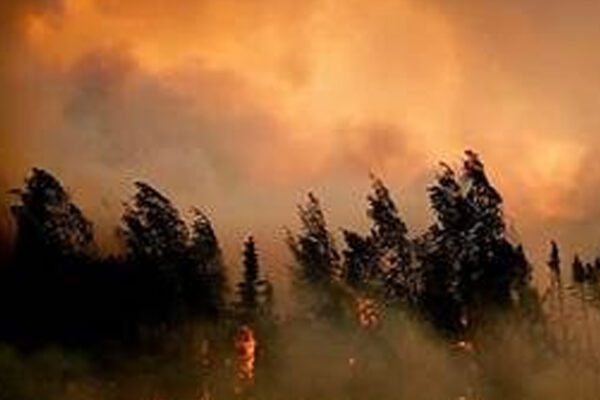 Unattended campfire sparked 1,600-acre wildfire in Martin County