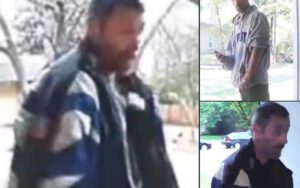 Serial porch pirate caught in arlington