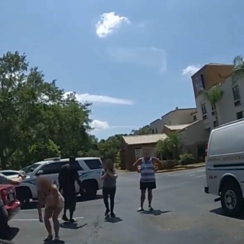 Watch as sarasota police save pitbull from near death in locked hot car - photo licensed by shore news network.