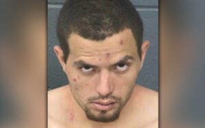 Car thief assaulted officer after high speed chase on i-10