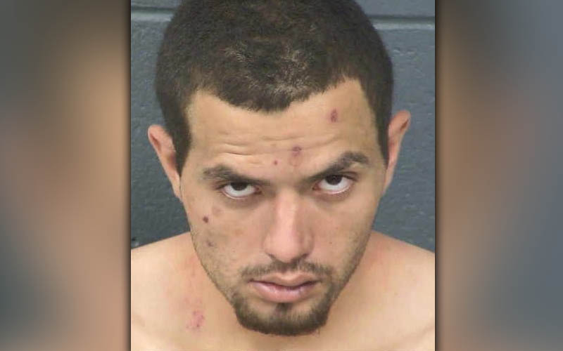Car thief assaulted officer after high speed chase on I-10