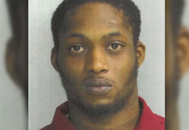 Police capture suspect charged in overnight burglary spree