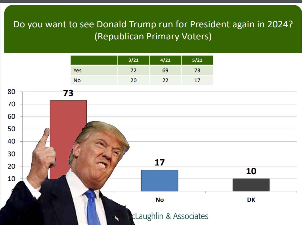 73% of all Republicans want Trump to run for president in 2024 new poll says