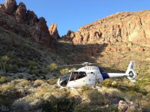 Border patrol and mexico officials rescue sexual assault victim near border