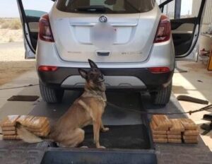 K-9 alert leads to nearly 60lbs of cocaine worth nearly $1 million dollars