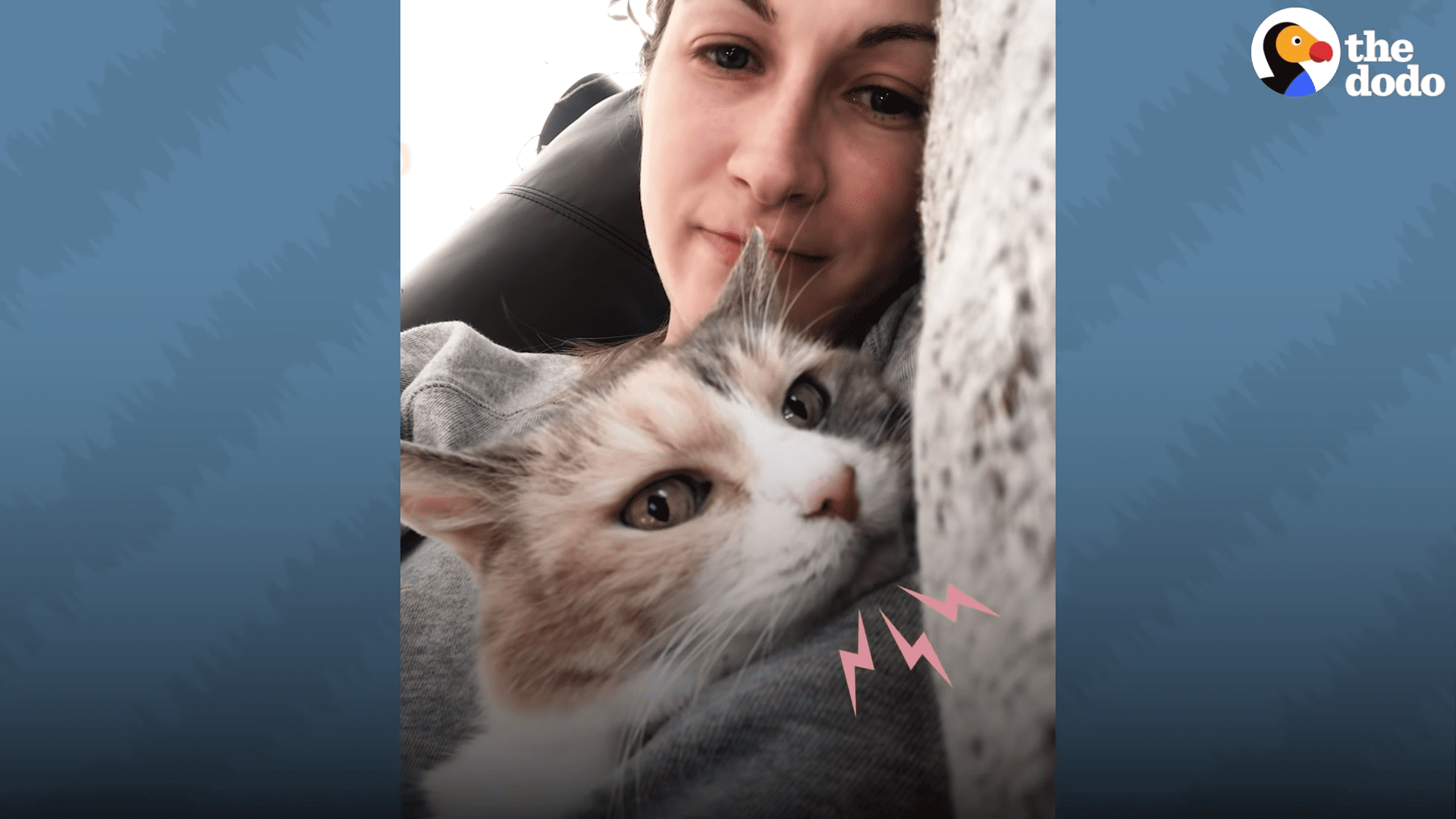 Granddaughter adopts her grandparents angry cat and the cutest thing happens
