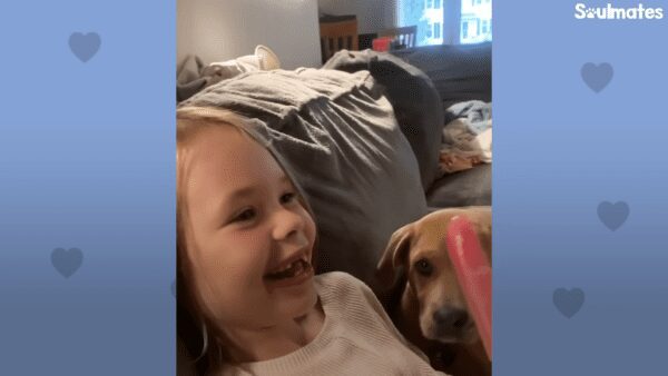 Tiny bottle fed puppy loves his new sister - photo licensed by shore news network.