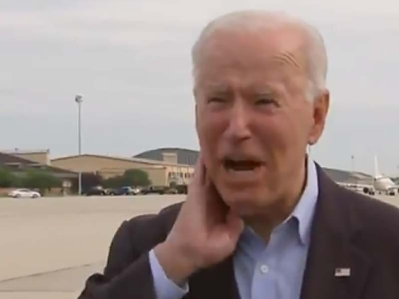 Biden attacked by cicada on way to show Putin who's boss
