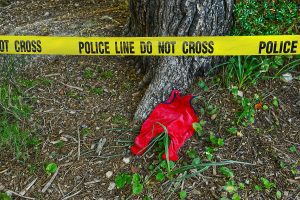 Skeletal remains found in galloway, police investigating