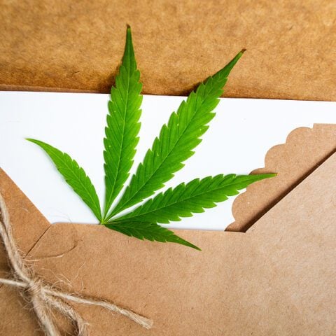 This entire family was arrested for jailhouse mail-order drug business - photo licensed by shore news network.