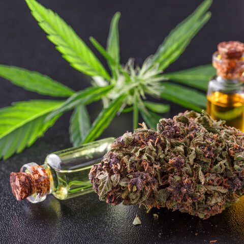 Will jack ciattarelli interfere with new jersey's legal marijuana if elected governor? - photo licensed by shore news network.