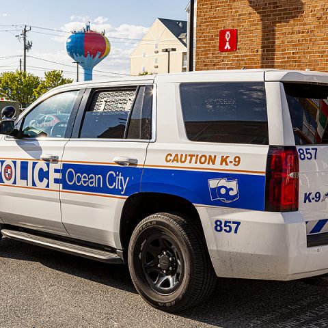 Pedestrian struck and killed in ocean city - photo licensed by shore news network.