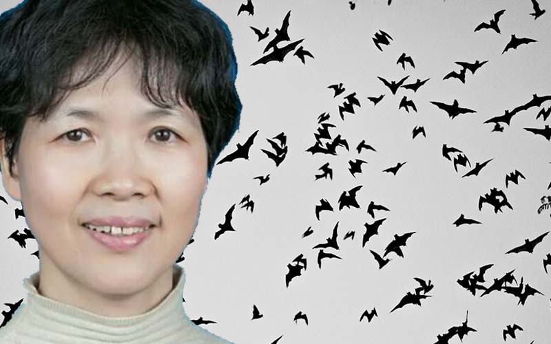 As America investigates origins of COVID-19 China says Wuhan "Bat Woman" deserves a Nobel Prize
