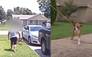 Mom tried to shoot six-month-old boxer puppy, hits her own son instead