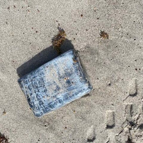 Brownsville cbp officers seize $703k worth of narcotics in three seizures - photo licensed by shore news network.