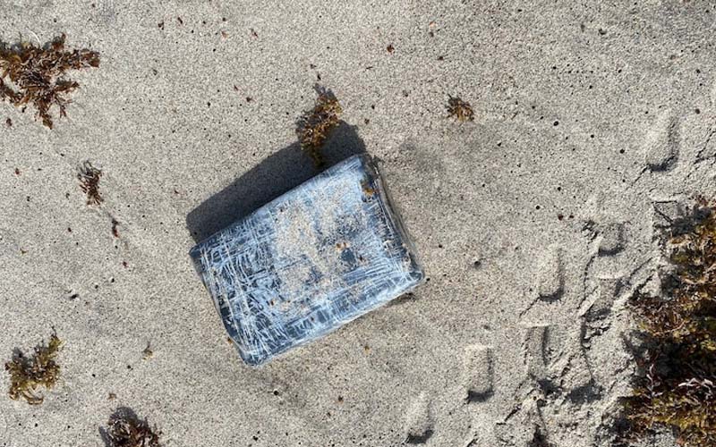 Brownsville CBP Officers Seize $703K Worth of Narcotics in Three Seizures