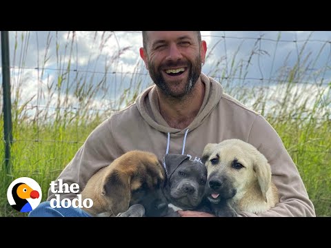Here’s To The Dads — Happy Father’s Day! | The Dodo