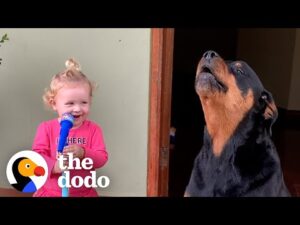 Loyal rottweiler copies everything her baby sister does