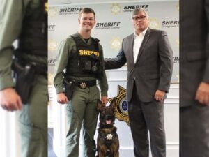 Welcome aboard Five 0 pup joins Sheriffs Office
